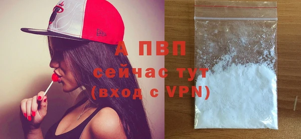 гидропоника Верея