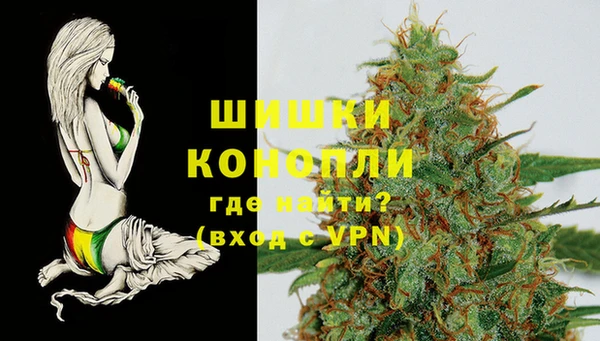 PSILOCYBIN Бронницы