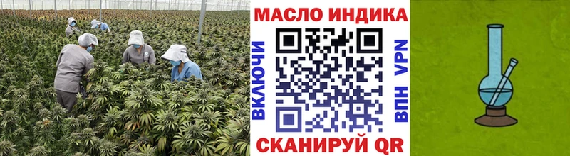 ТГК жижа  даркнет Telegram  Кашин 