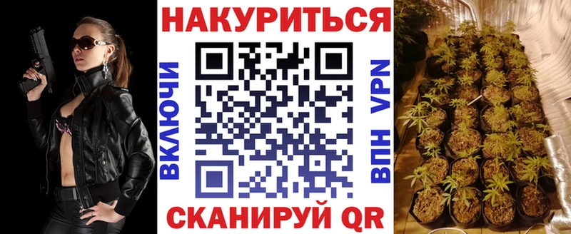 Шишки марихуана гибрид  купить   площадка состав  Кашин 
